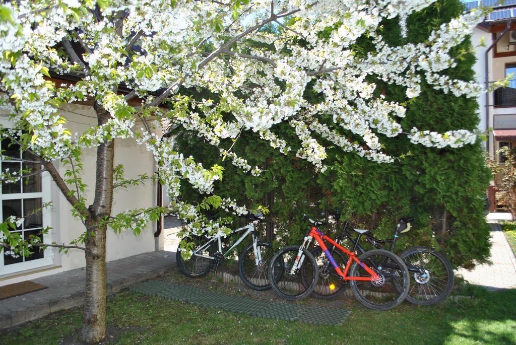 Ferienwohnung Apartament Beta Bistriţa Exterior foto